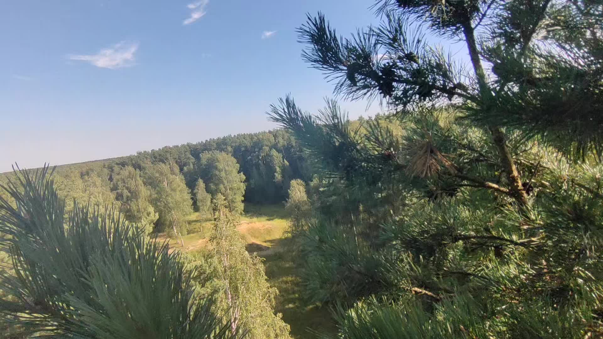@я тупа свег щя