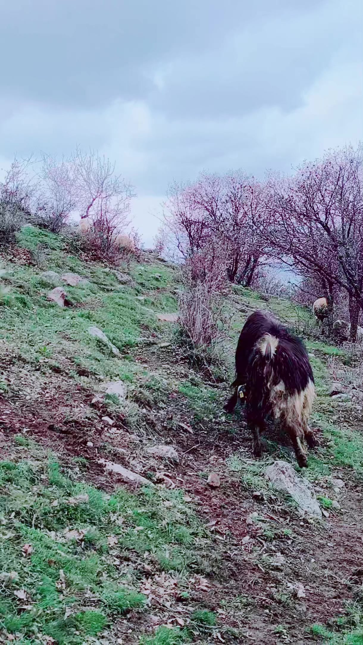 @Hakan demir ⁵&sup1; NİĞdeli ⁵&sup1;
