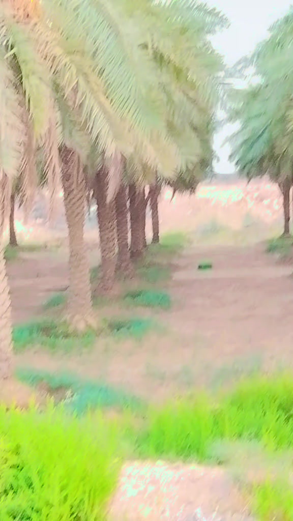 @🤝⚘️Akhtar ✌️Khan 🇸🇦🇵🇰💯💯