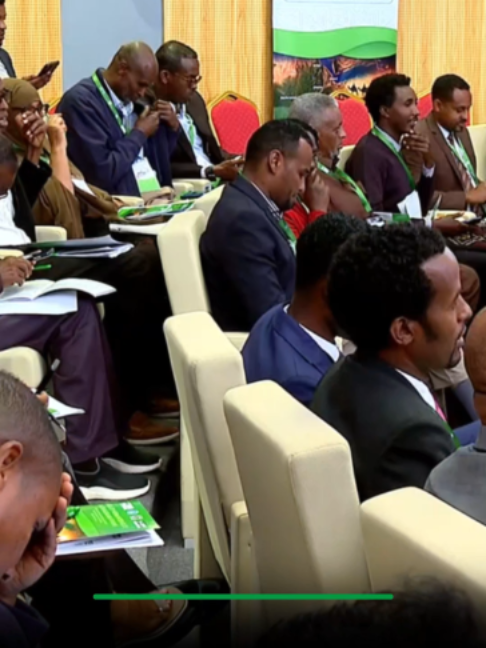 @Pulse of Africa English