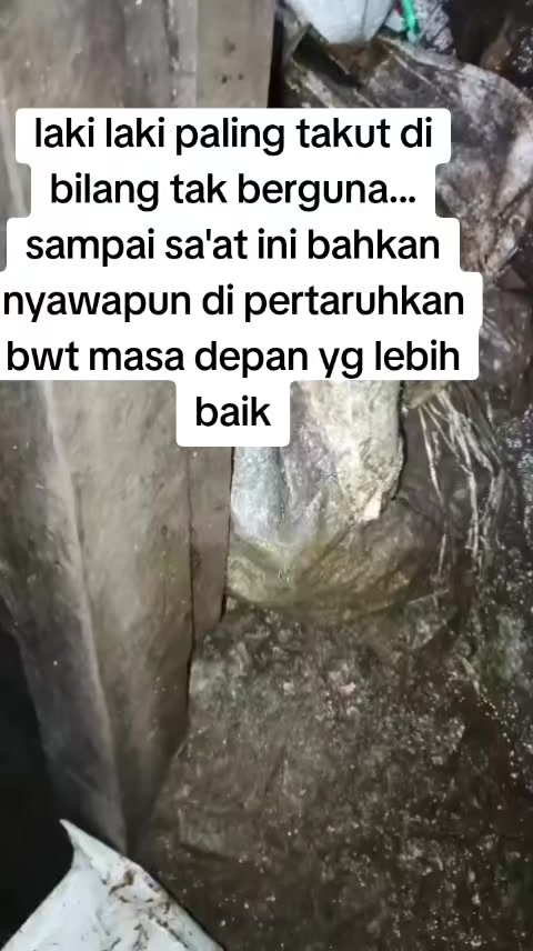 @husna141921
