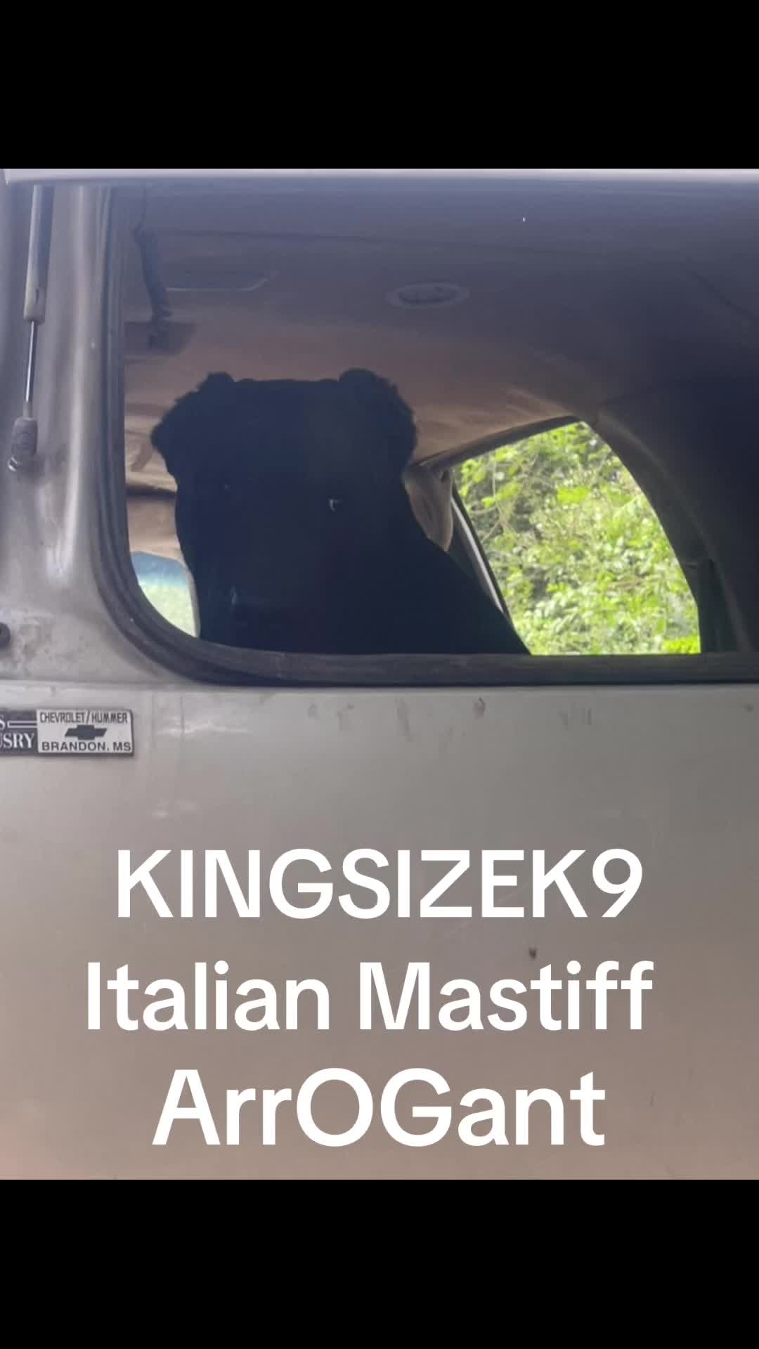 @KingCorso