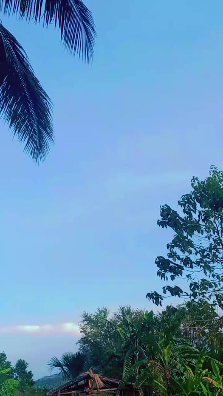 @BONALNOKK🐓