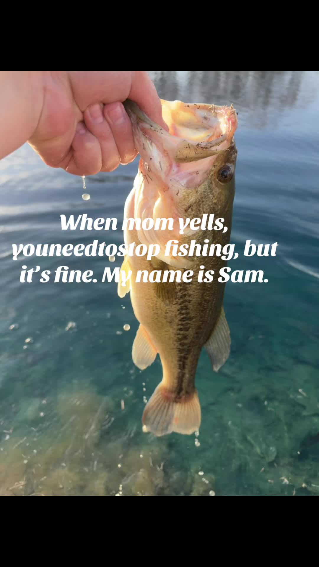 @Reel Sam
