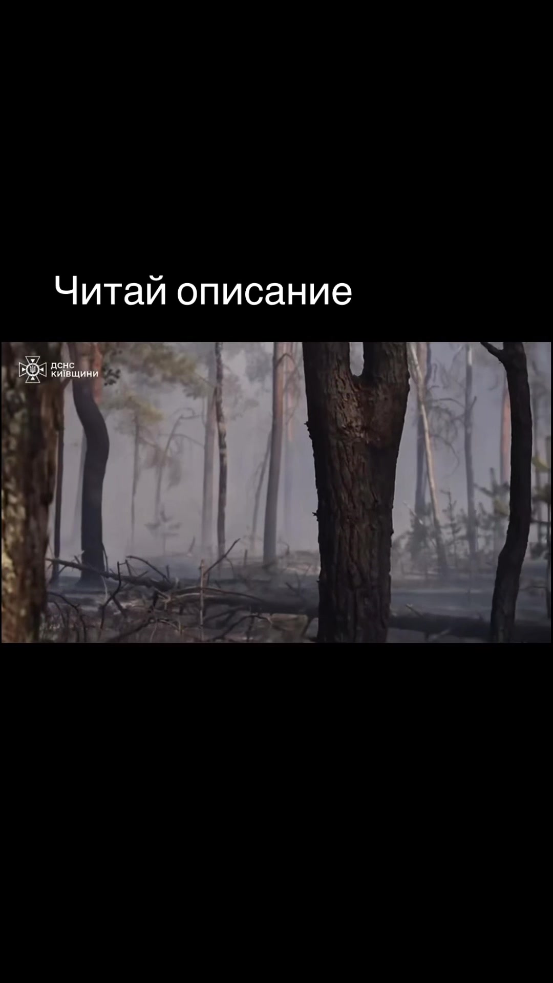 @Маркус юа