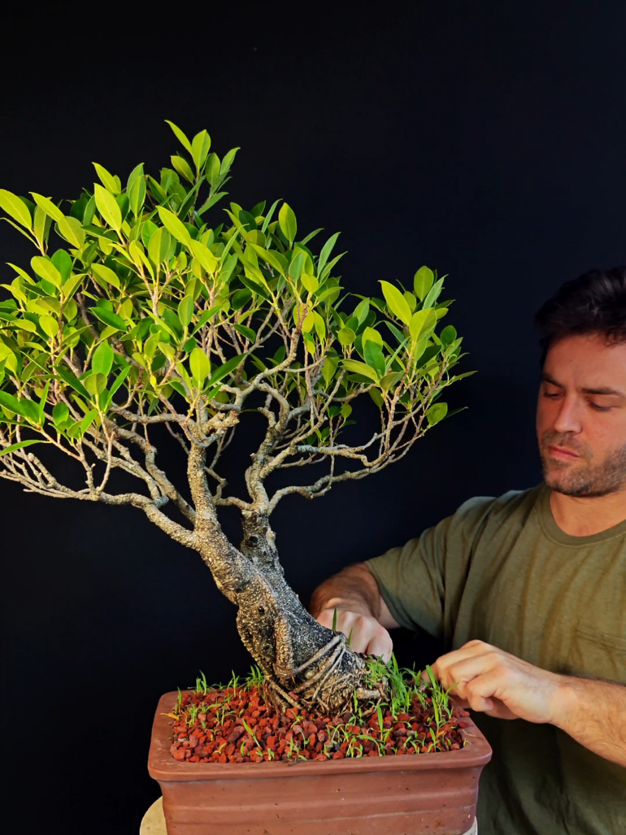 @Bryan Loves Bonsai