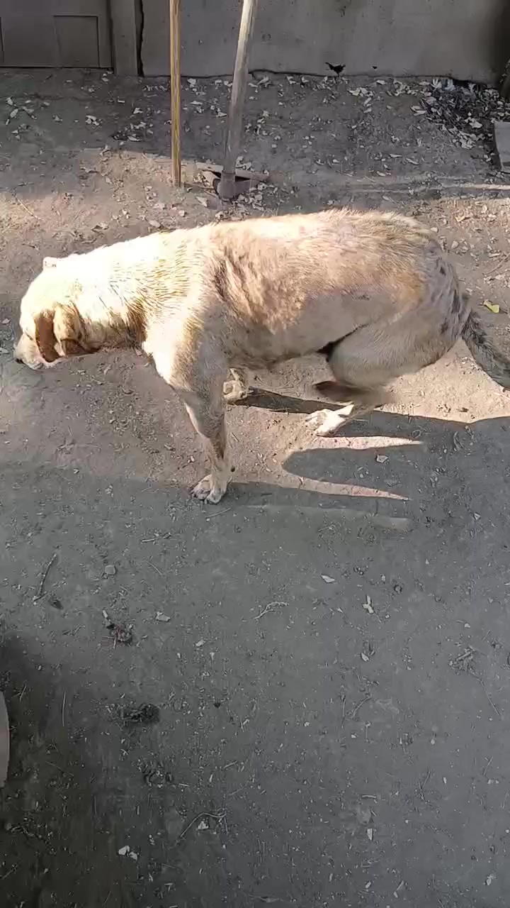 @Семейный Хуторок