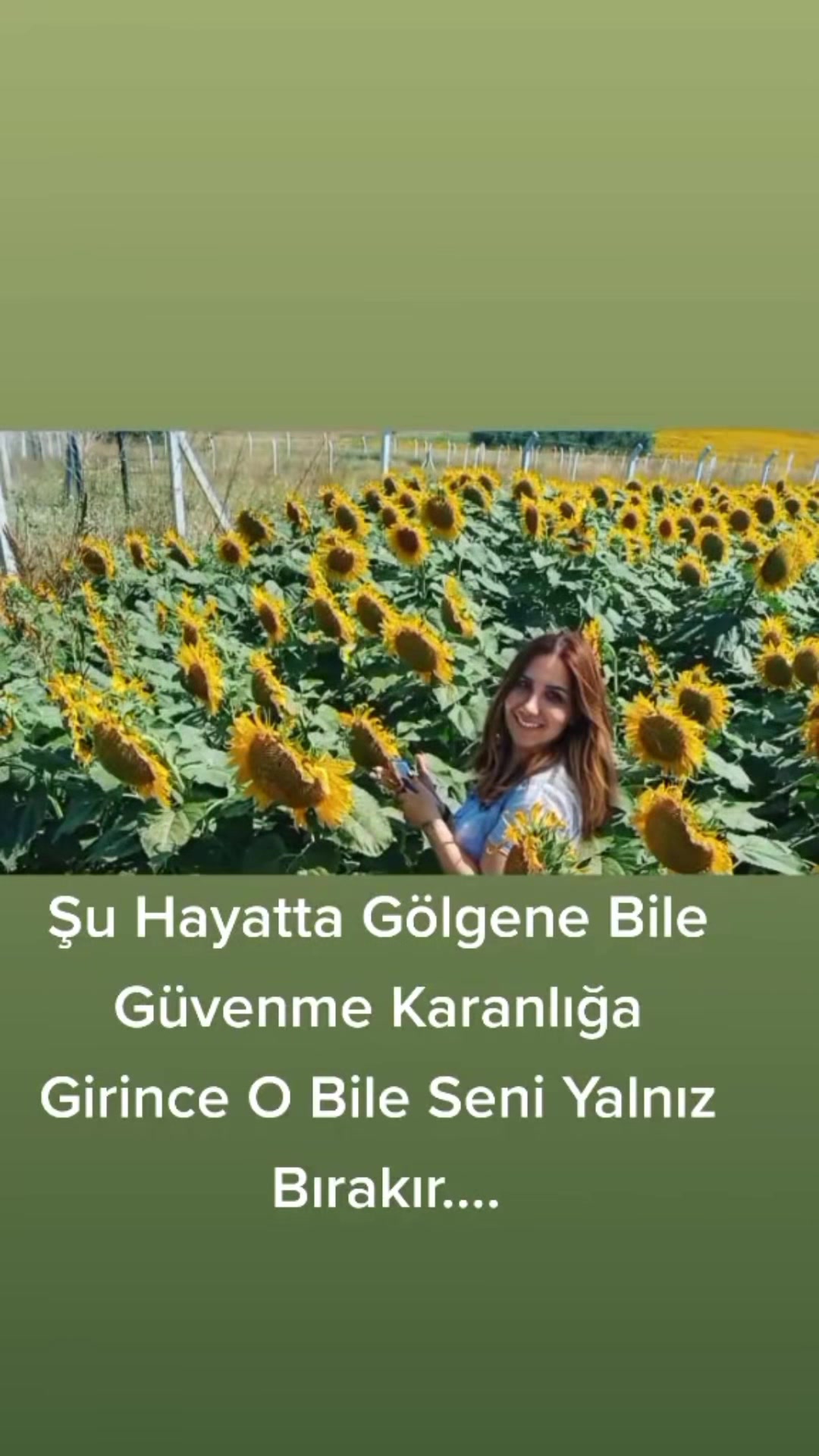 @mujgan art.34.66
