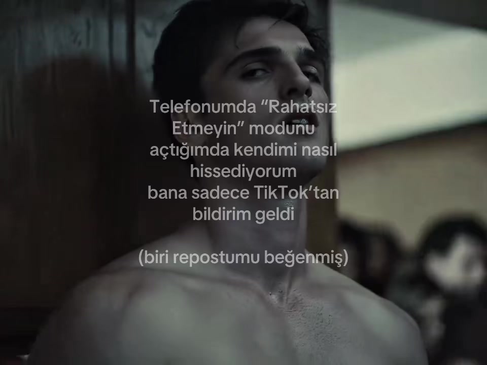 @alim__q