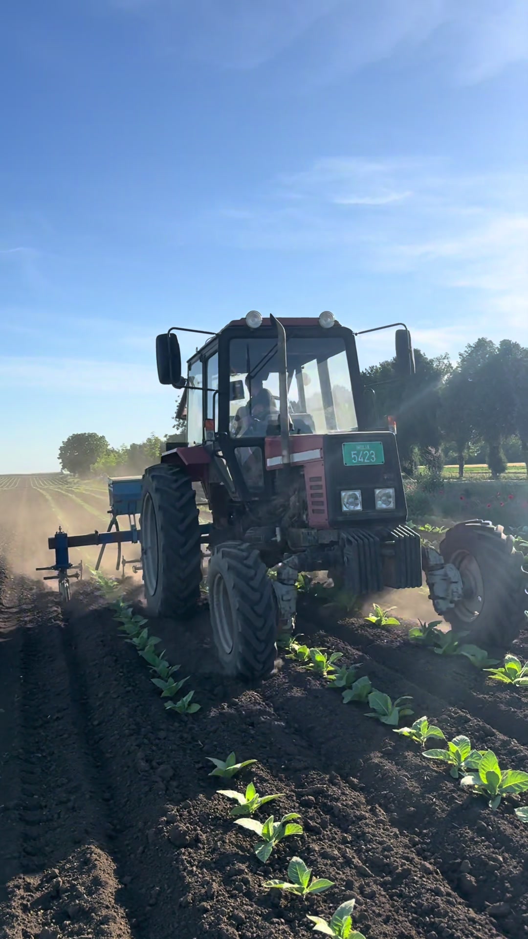 @Agriculture_vojvodina