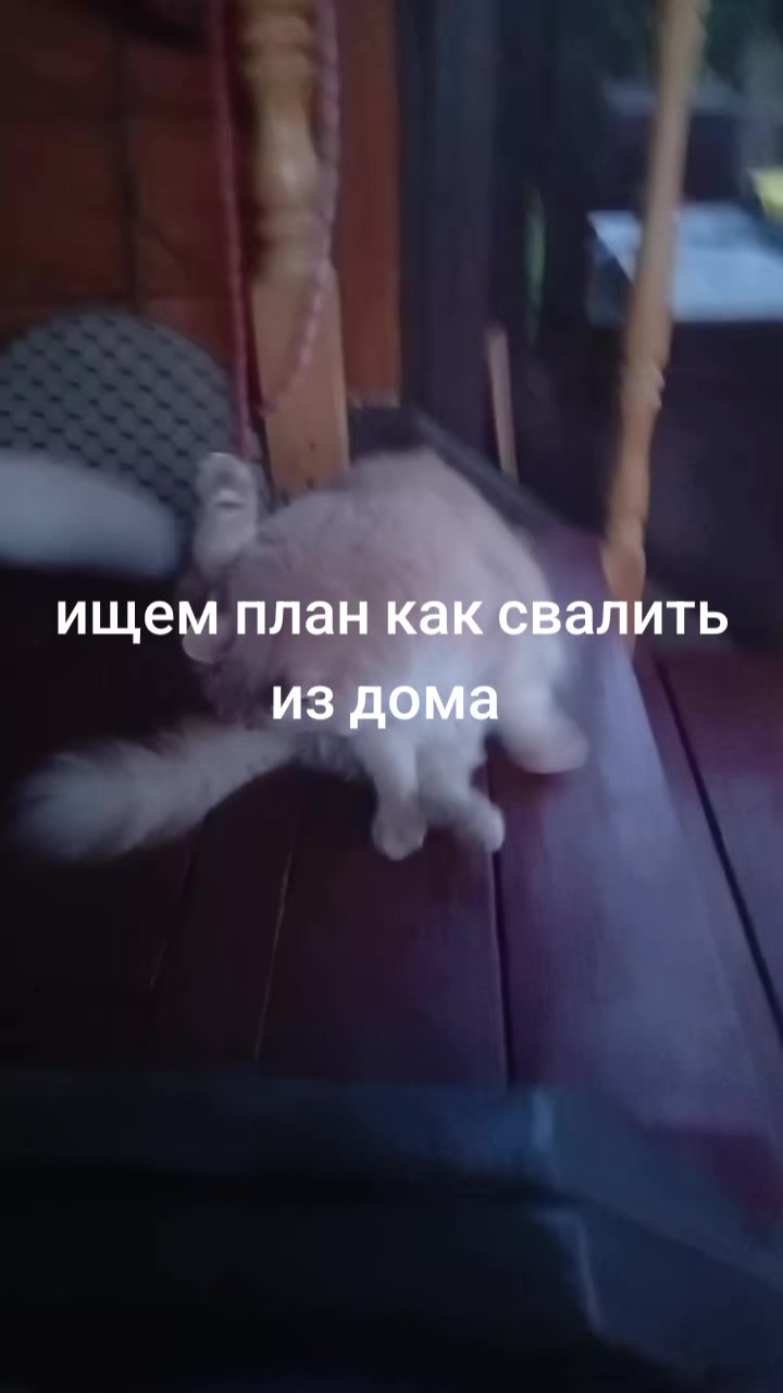 @антон азуевский