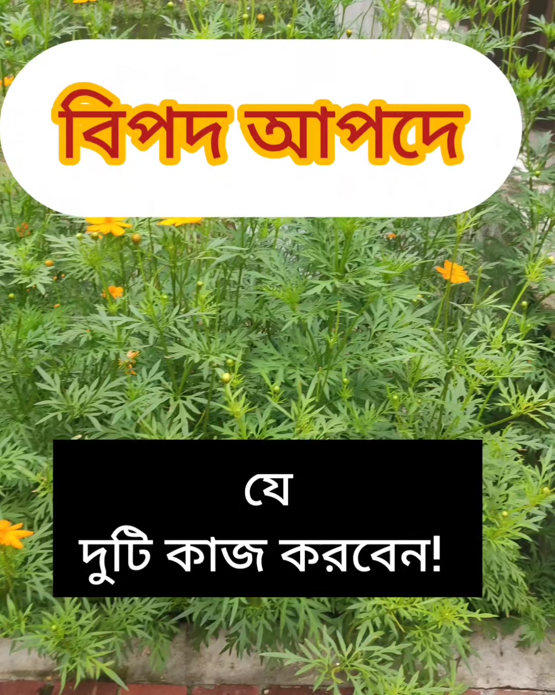 @cuisine_house