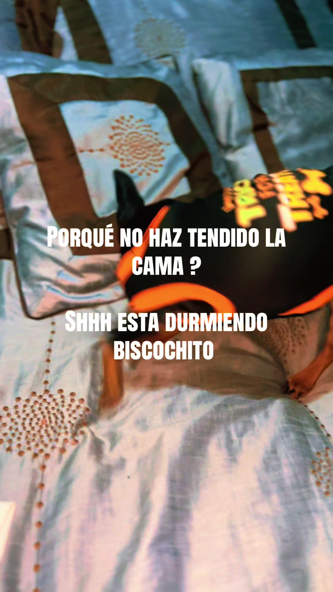 @Esthela Peña
