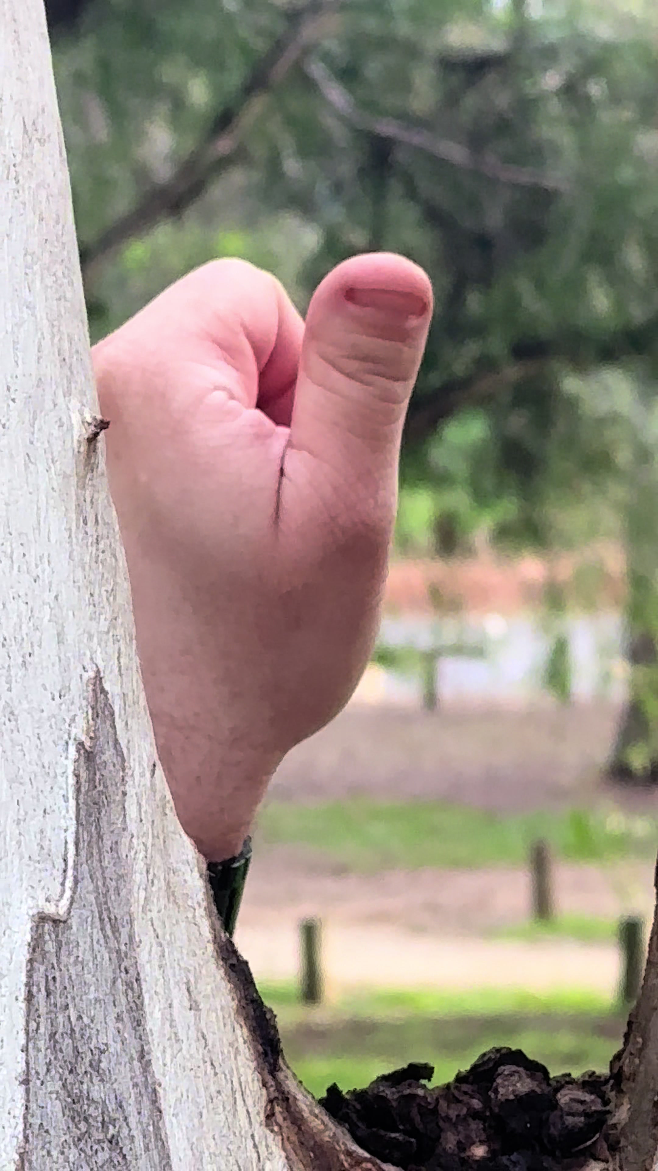 @Thumb on Tour