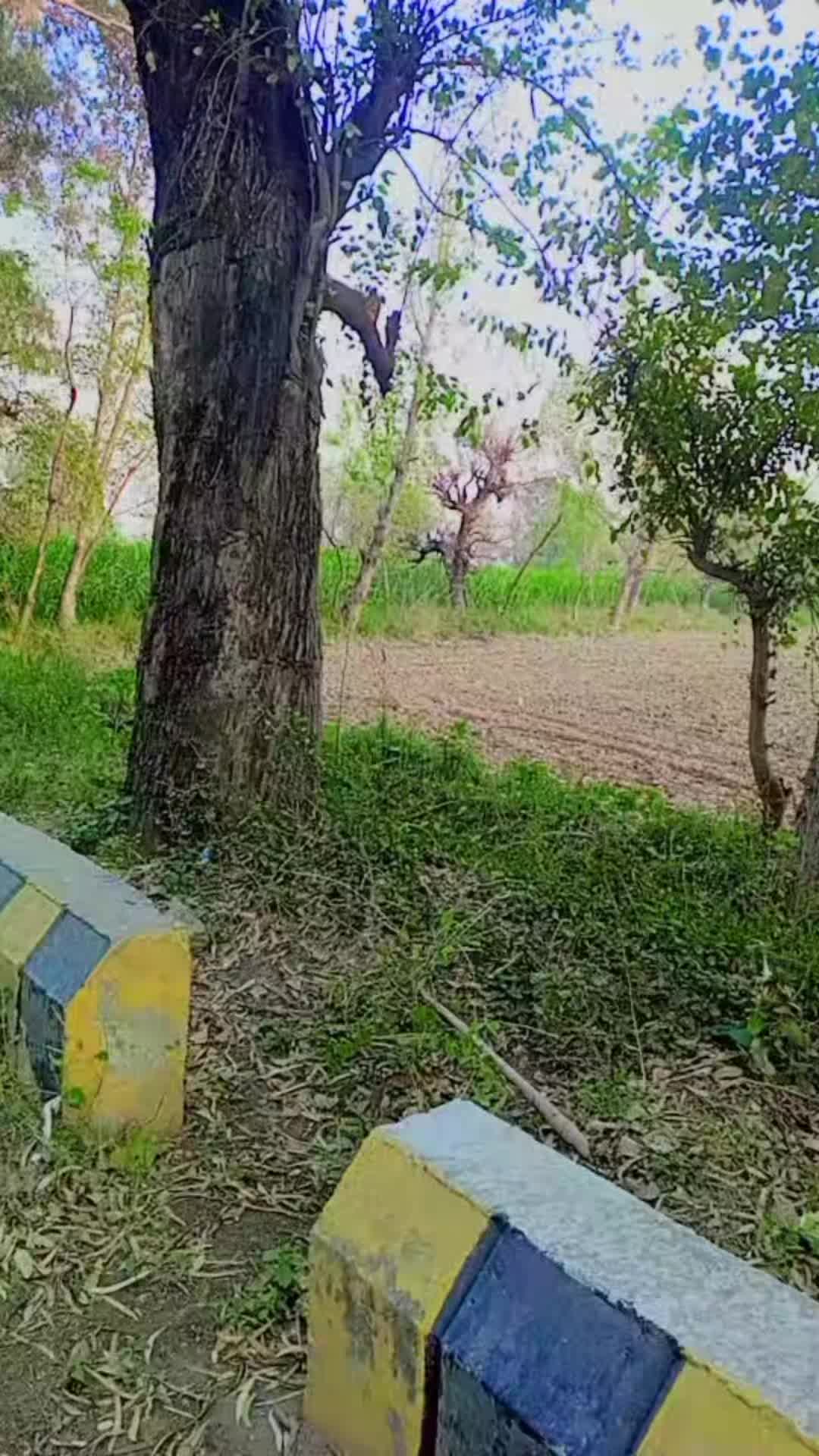 @GHANI bhaye