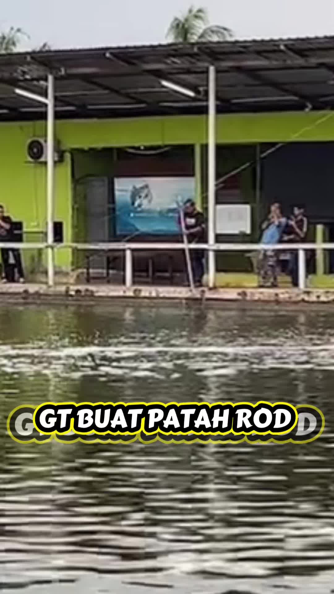 @M Z Reel 🎣