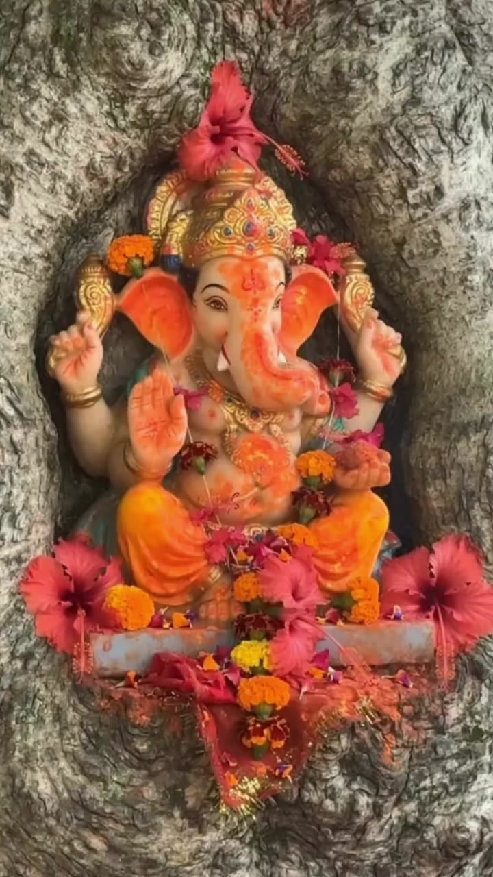@๐ฉ Jay Mata di ๐ฉ๐๐ฑ