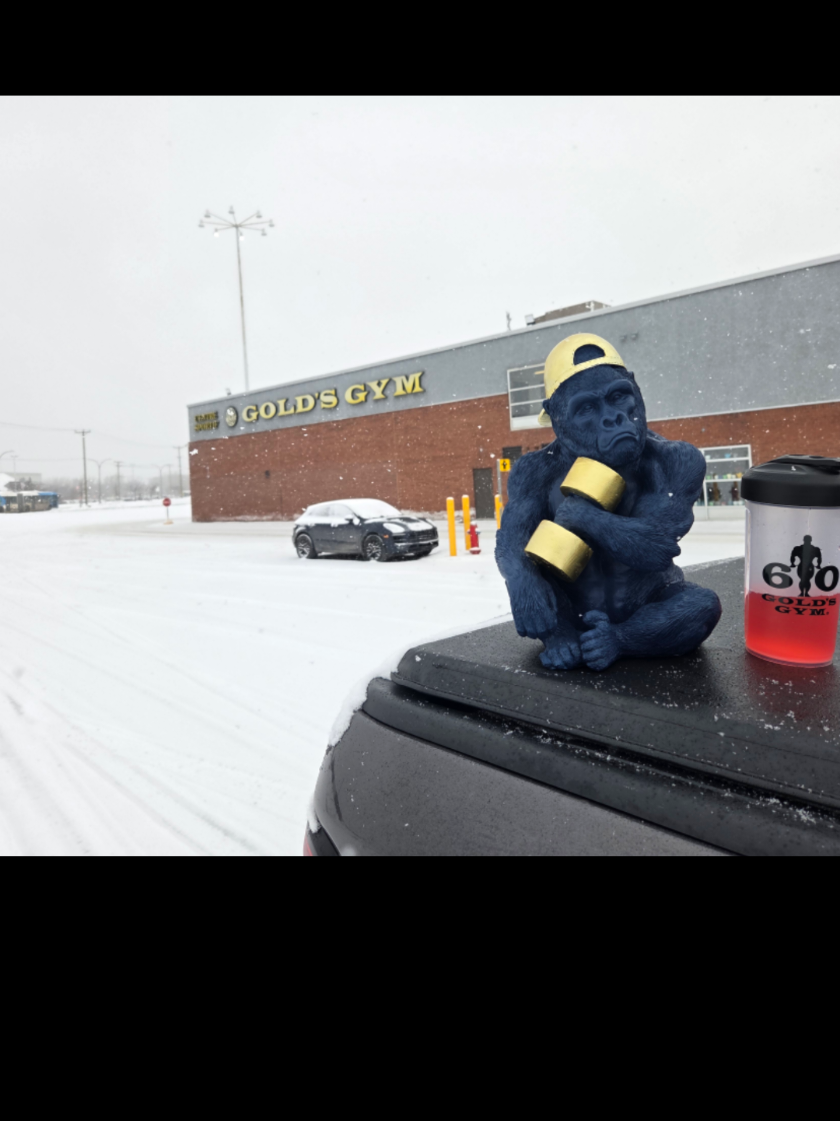 @Gold's Gym Qu&eacute;bec