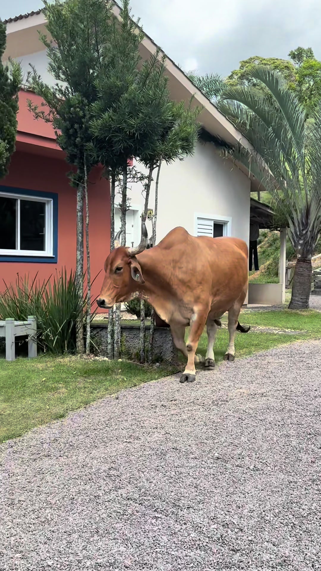 @Baiano e Gigante