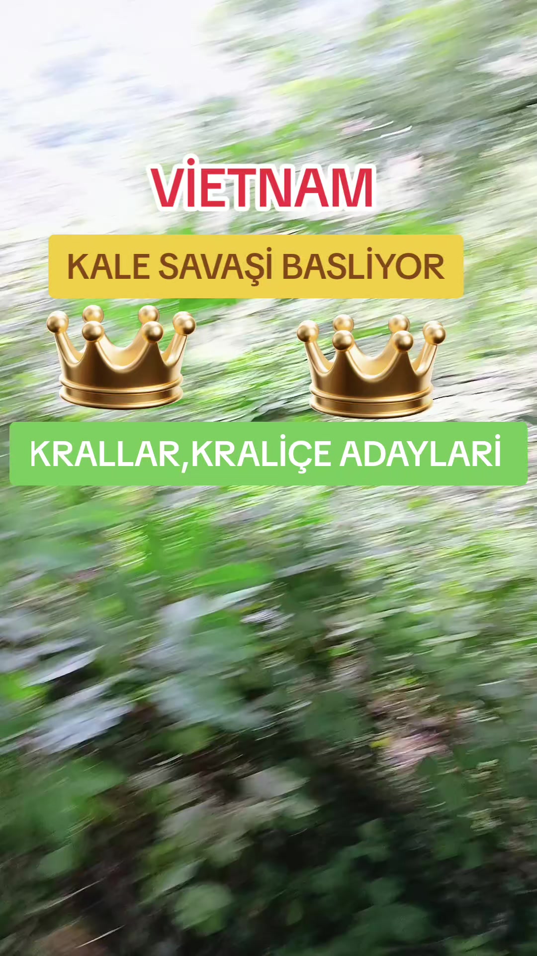 @KRALİYET ÇİTASİ