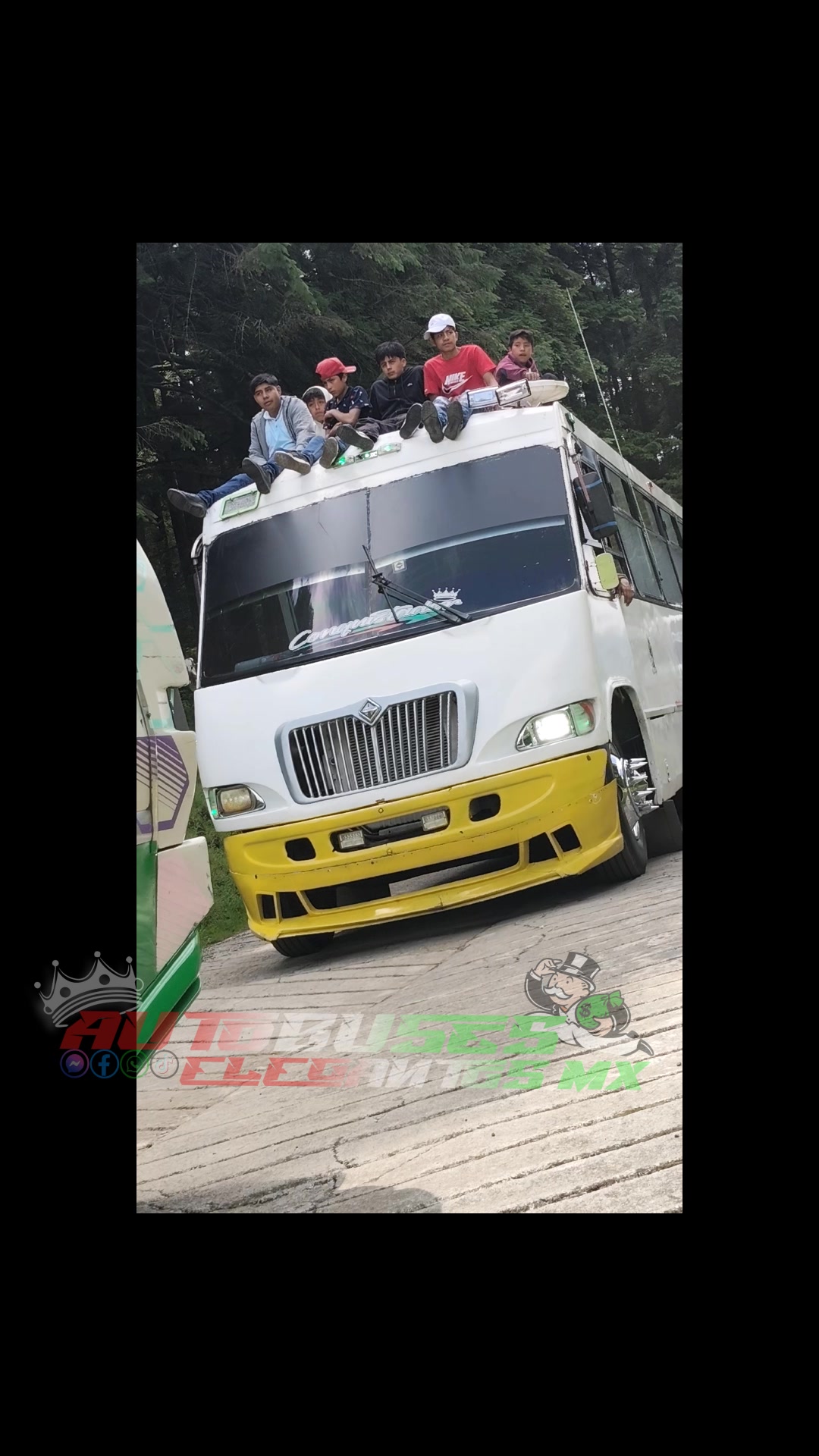 @Autobuses Elegantes Mx