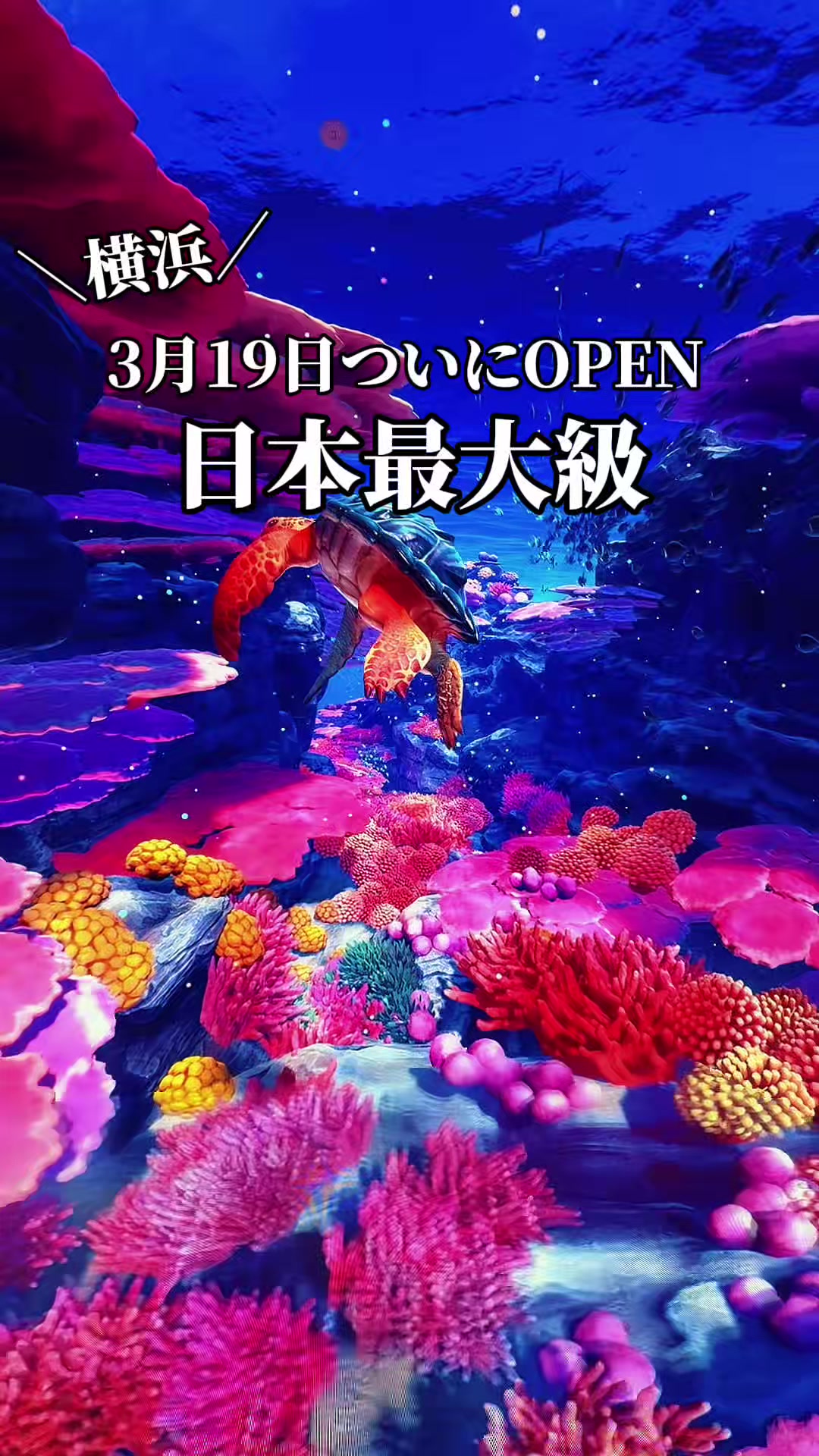 @みなこ 神奈川発 子連れお出かけ