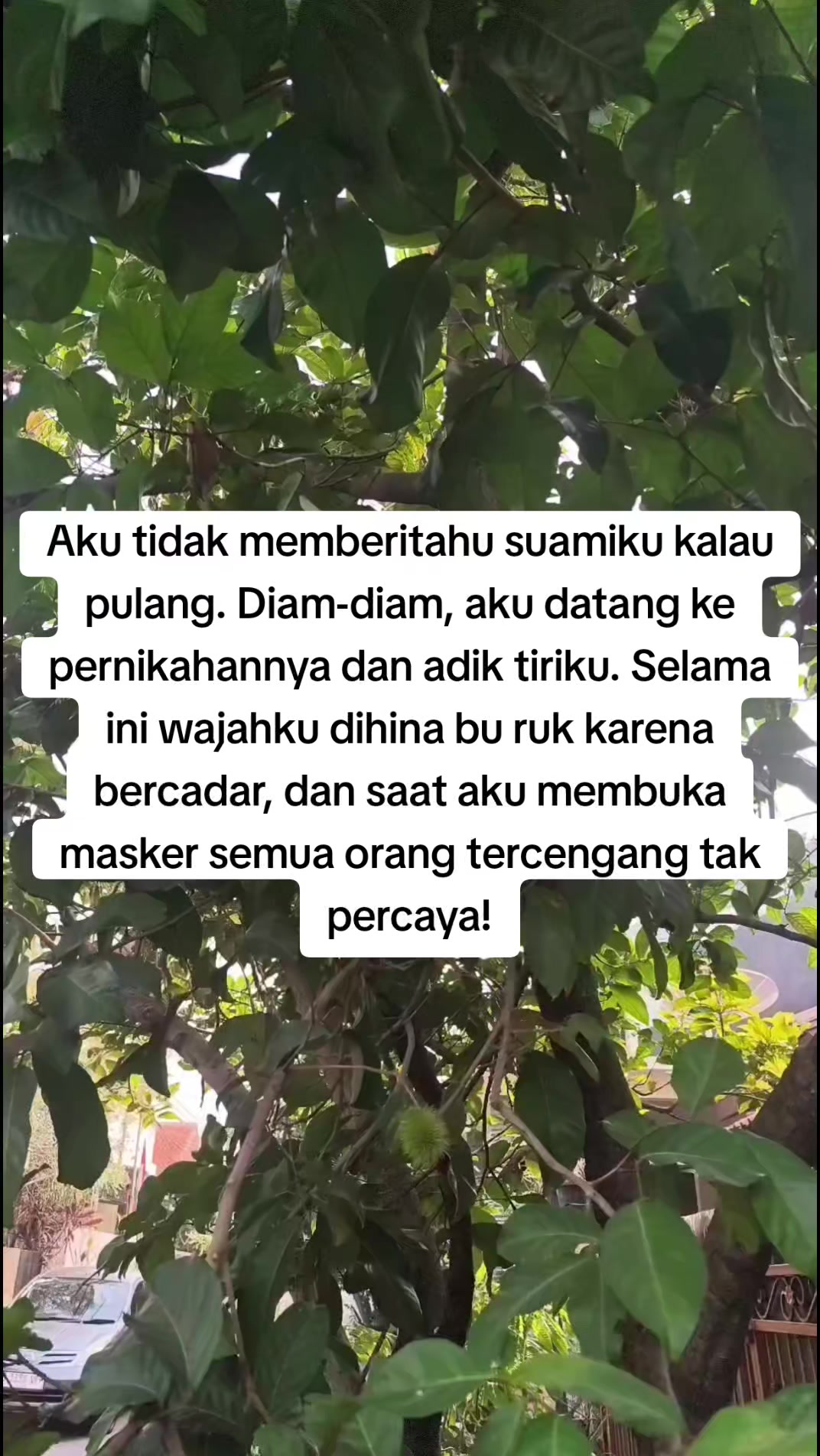 @Curhat Sekarang