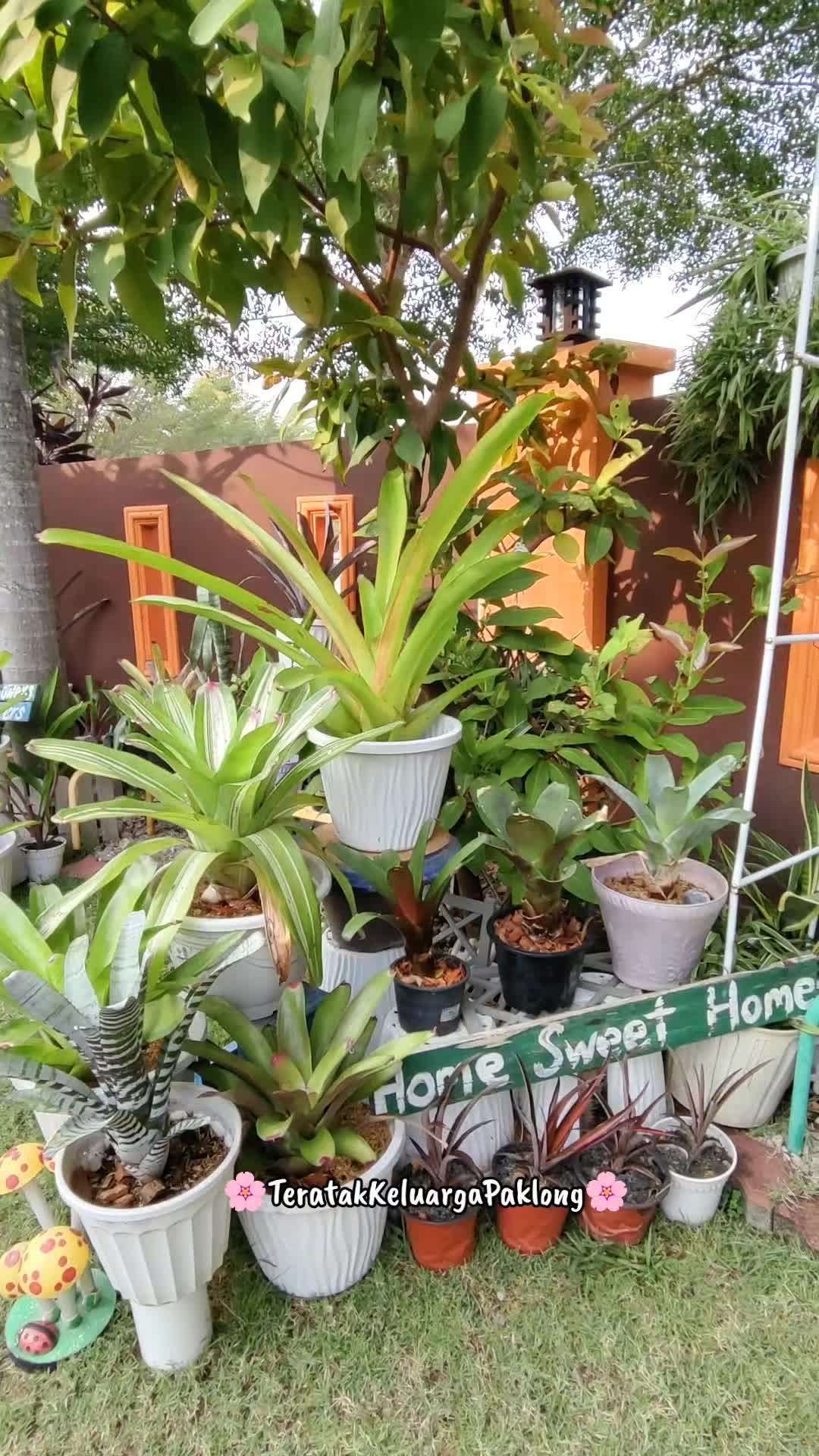 @Teratak Keluarga Paklong
