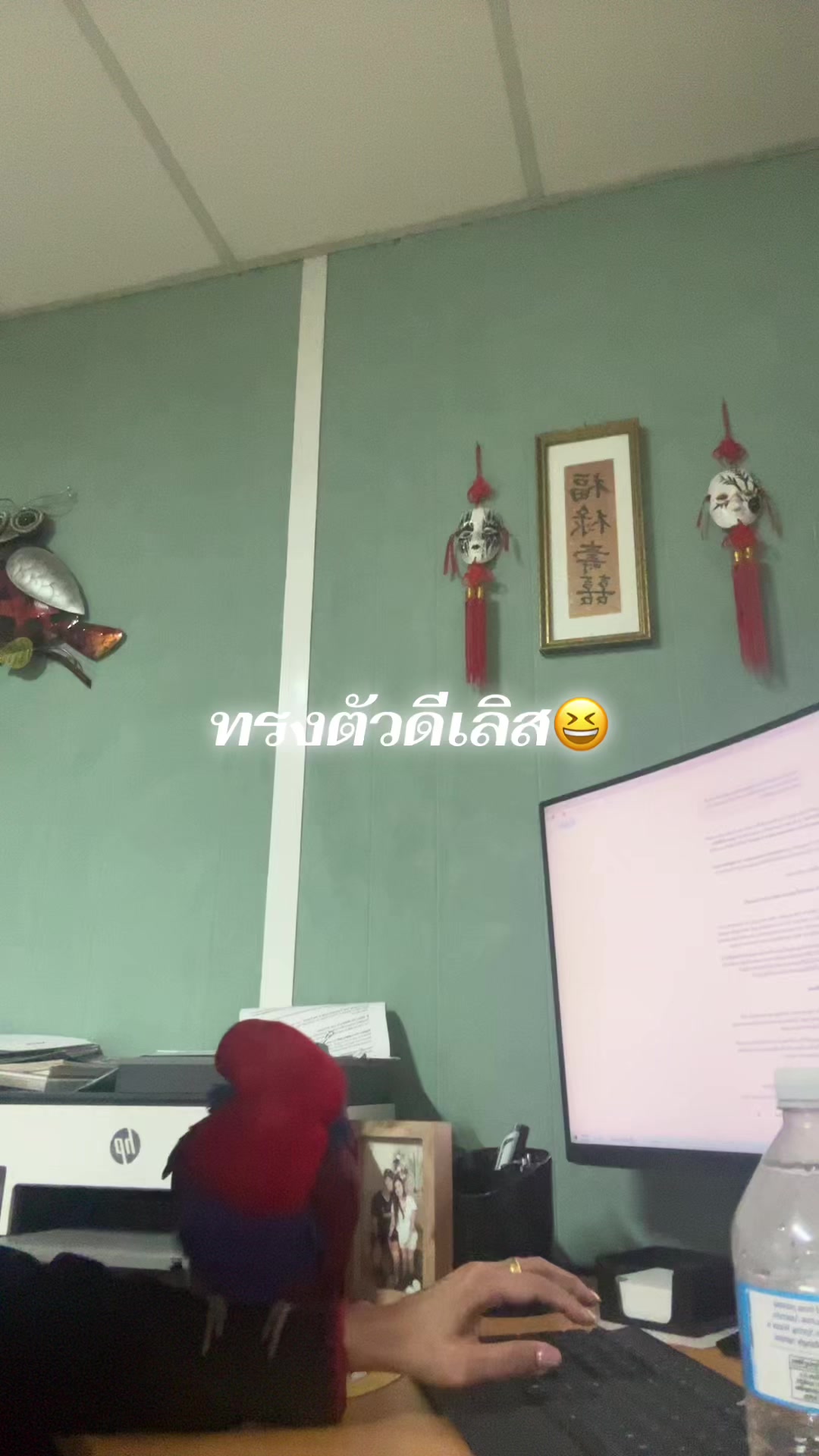@Female parrot🥰👫🦜