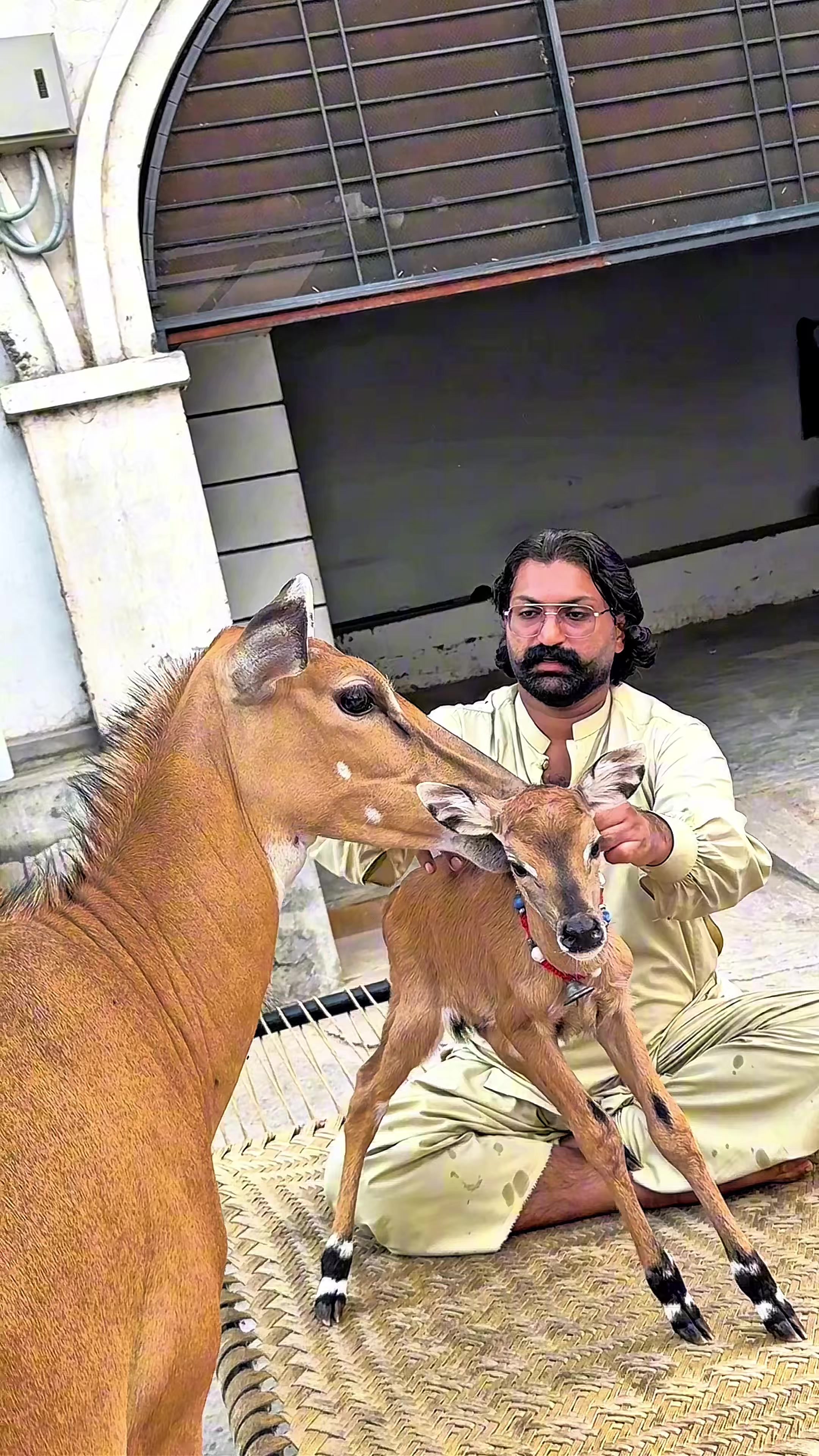 @👑Sultan_of_Virkgarh👑