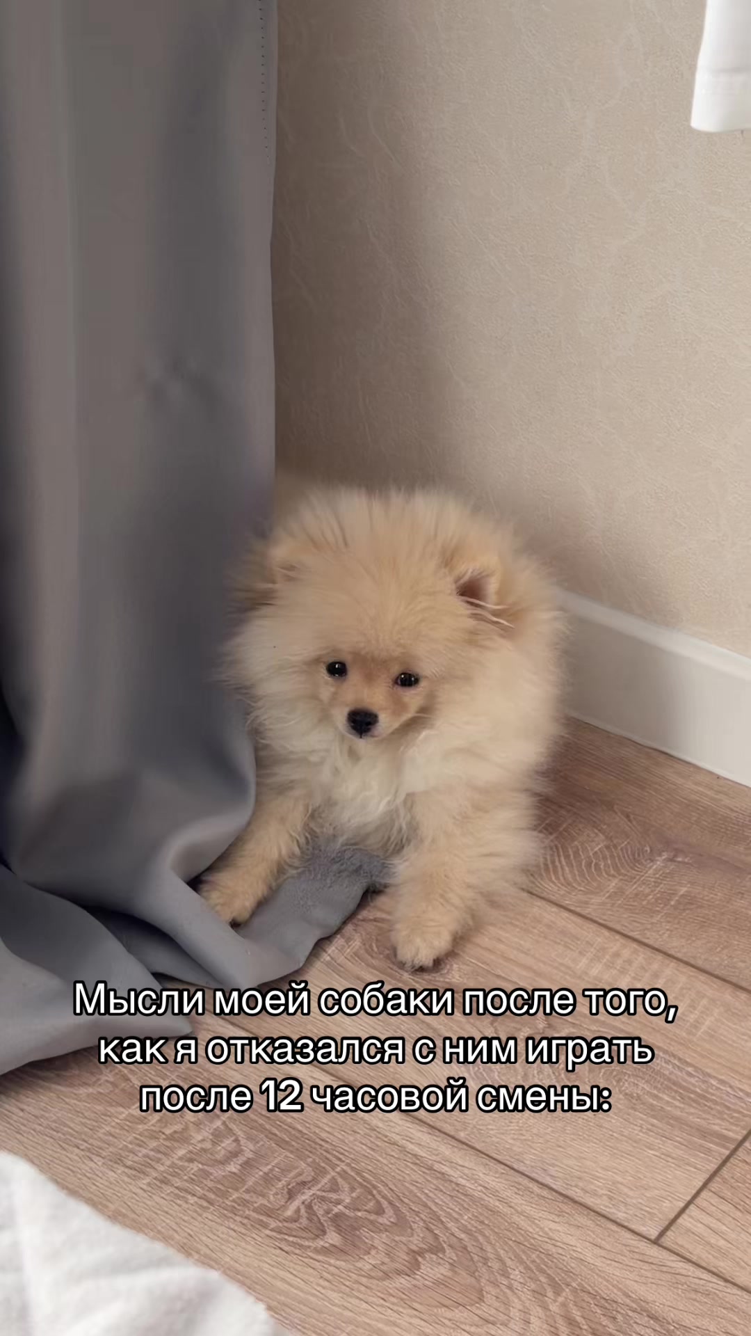 @Мотик🐍