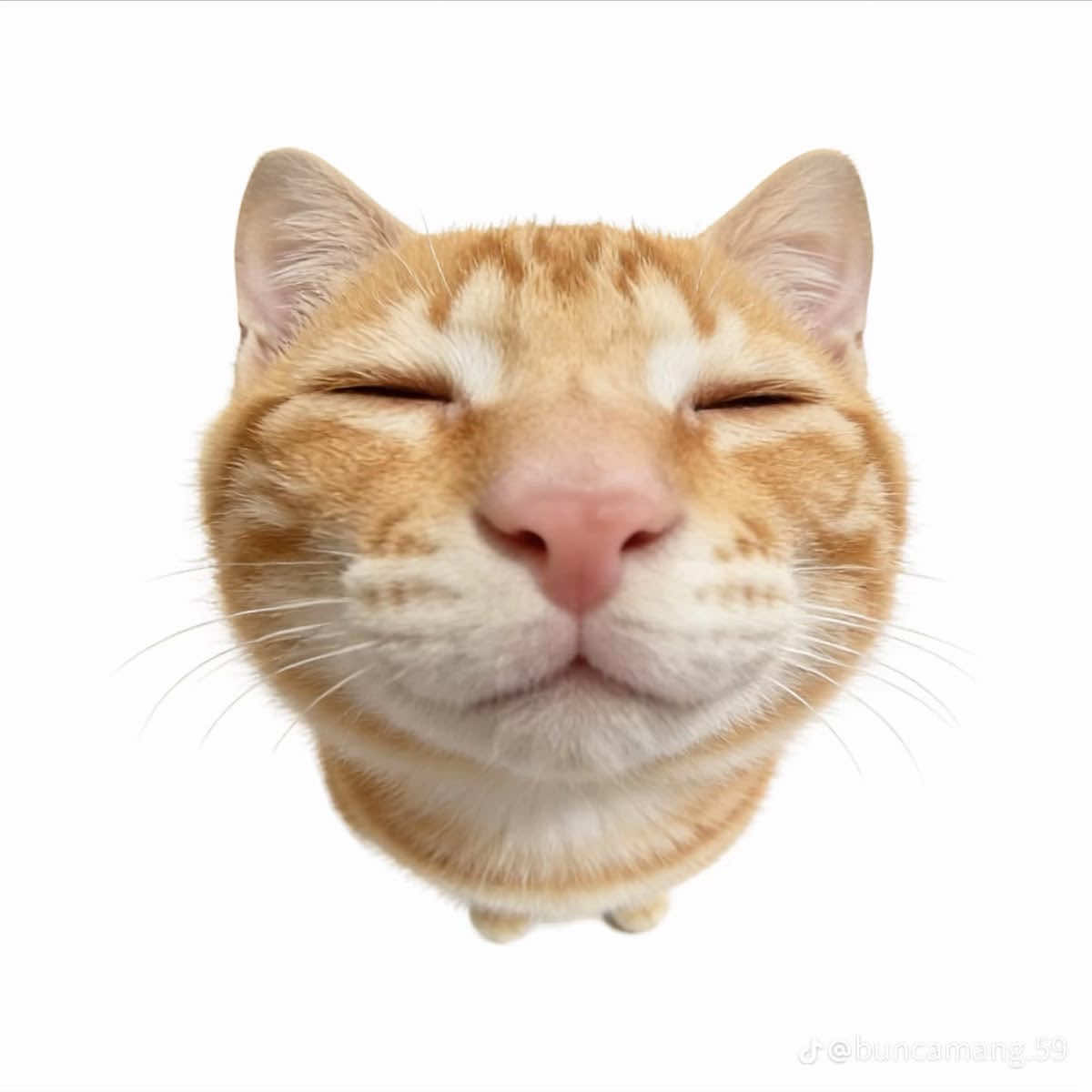 @Саша Karma