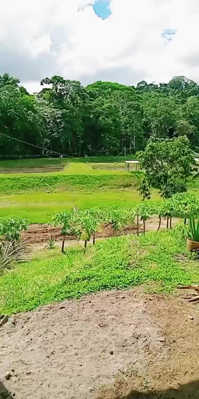 @acua agro