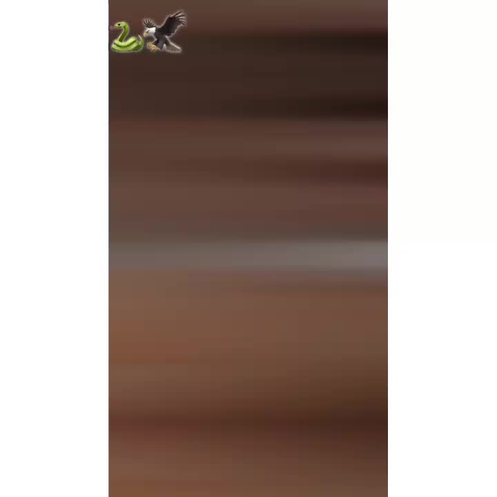 @نومی خان🫠