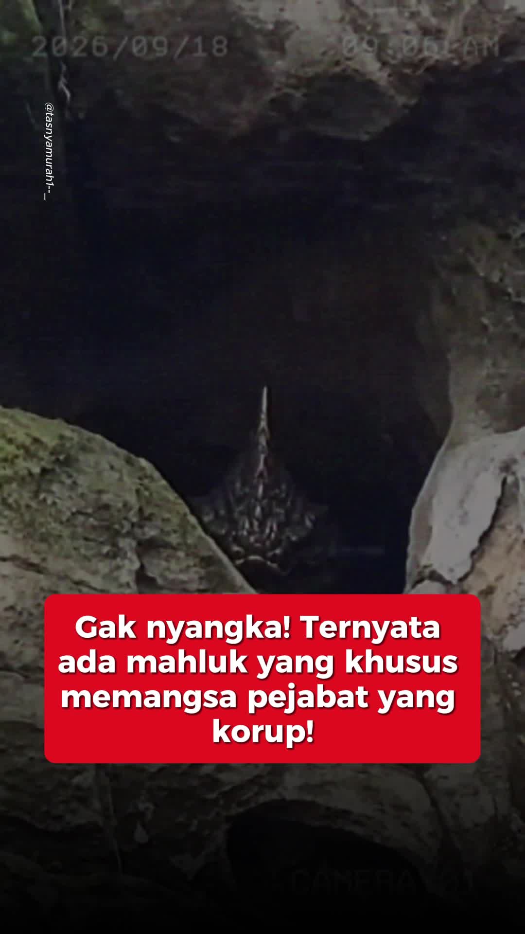 @RJL 5 - Fajar Aditya