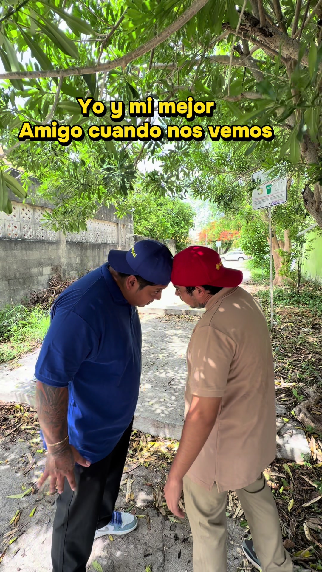 @Wazaa Mx