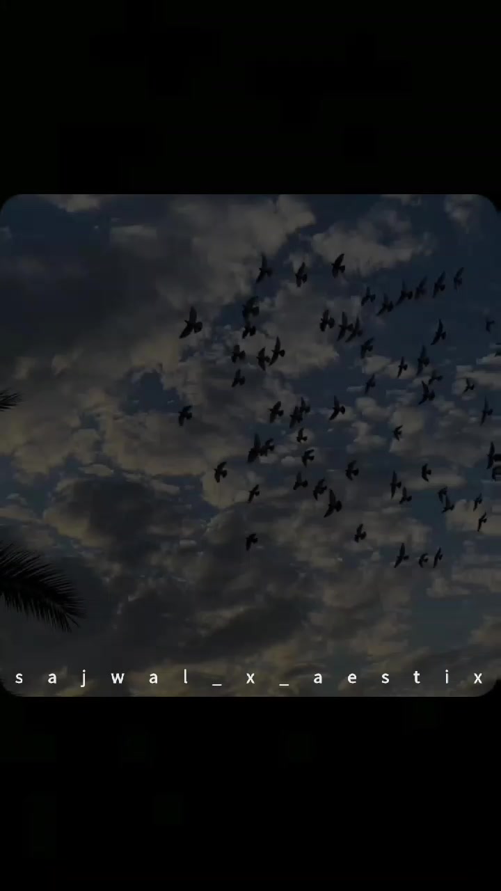 @𝑺𝒂𝒋𝒘𝒂𝒍_𝒙_𝒂𝒆𝒔𝒕𝒊𝒙♛