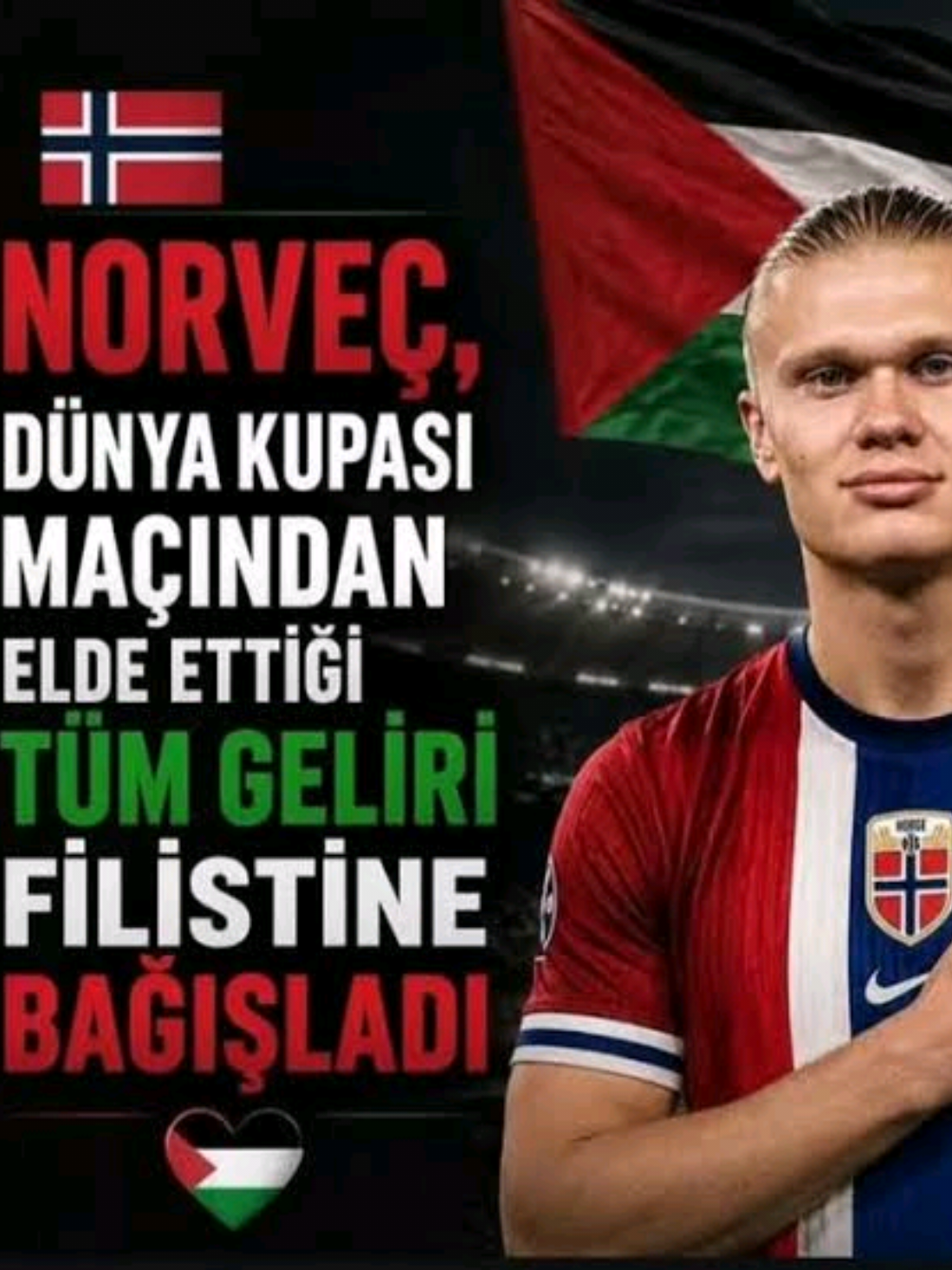 @Kanal 54