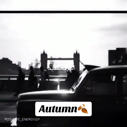 @autumn_1207