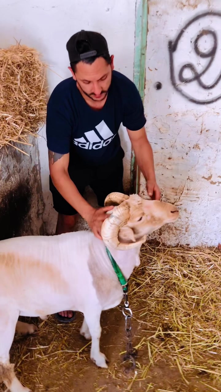 @سيف غرام زمان 🇹🇳