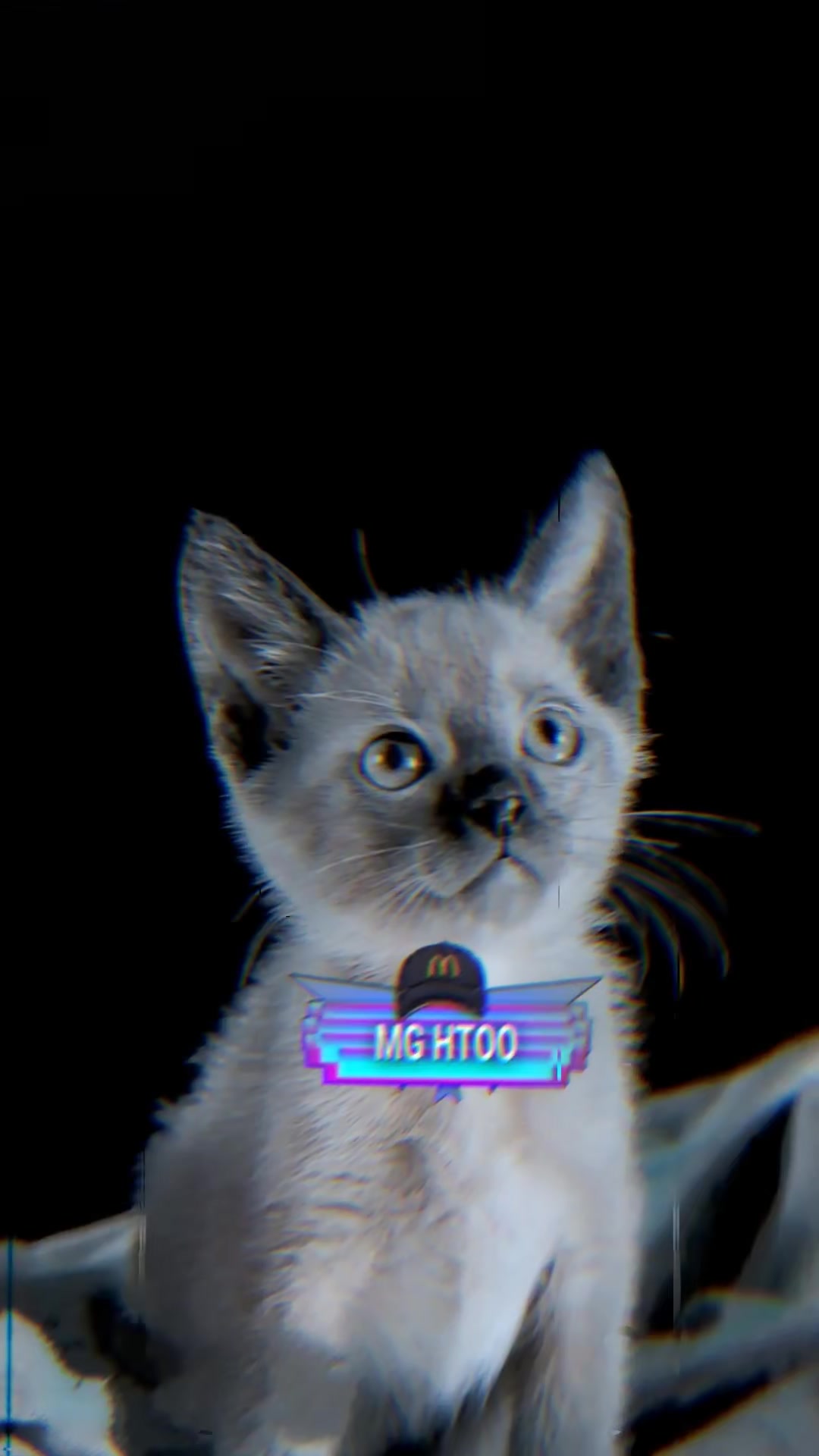 @โ
๐ด๐ ๐๐๐๐โ
๐