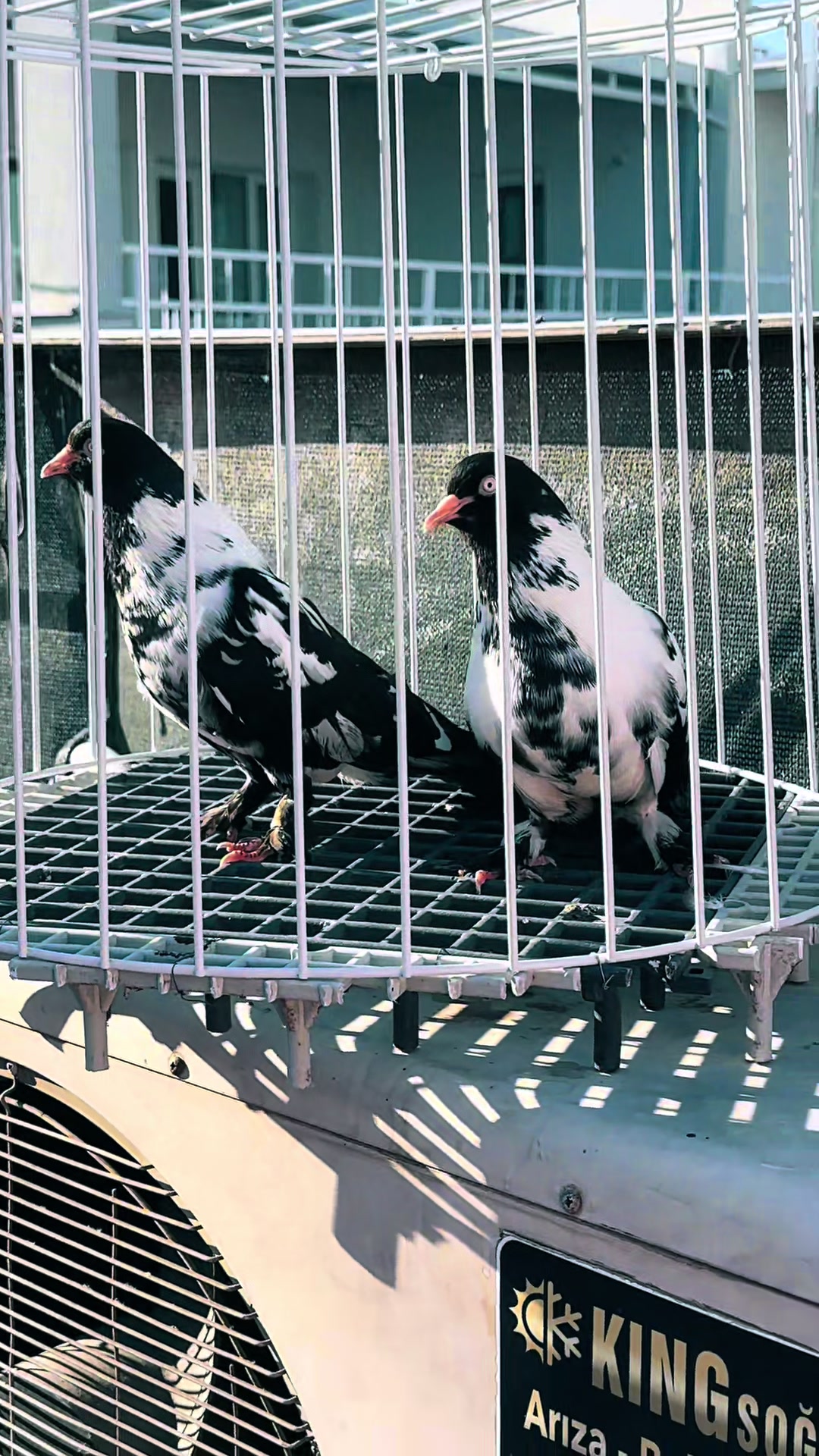 @Süleyman uçar