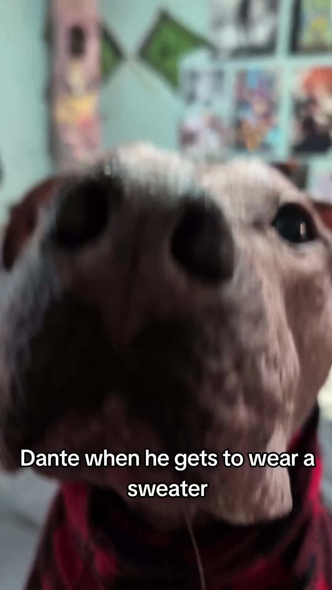 @Alexswaggzillaa