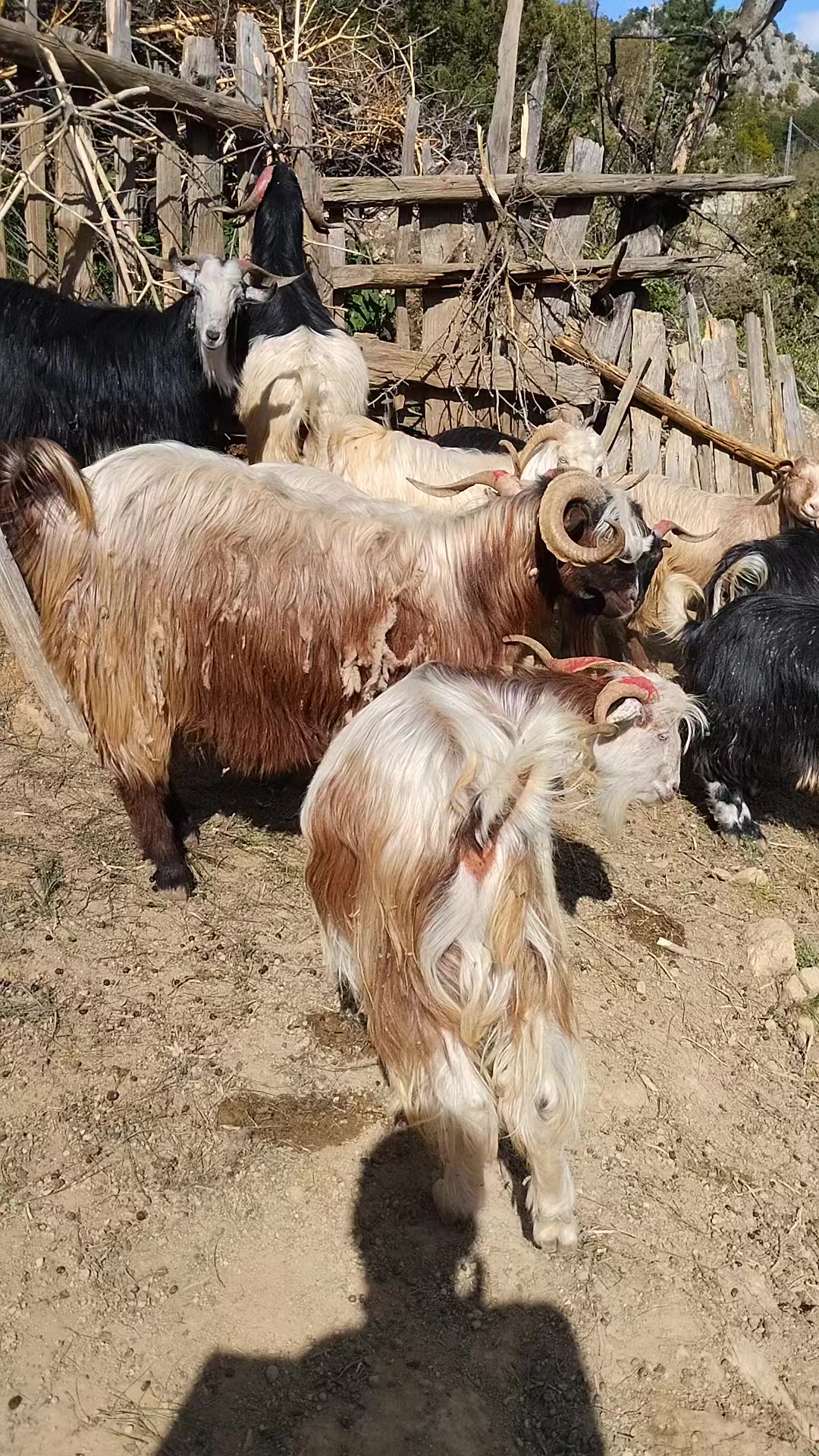 @Mustafa Erdinç 0101
