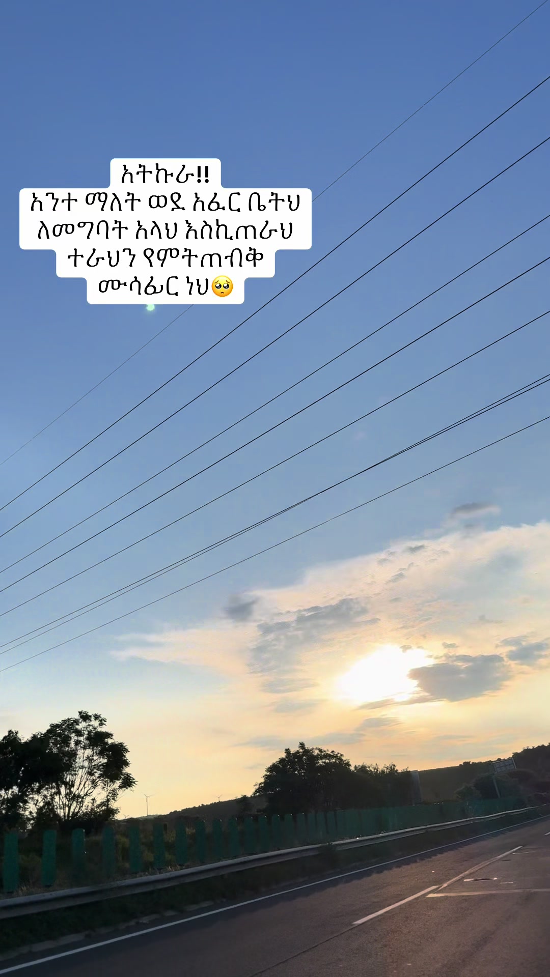 @fufunew1