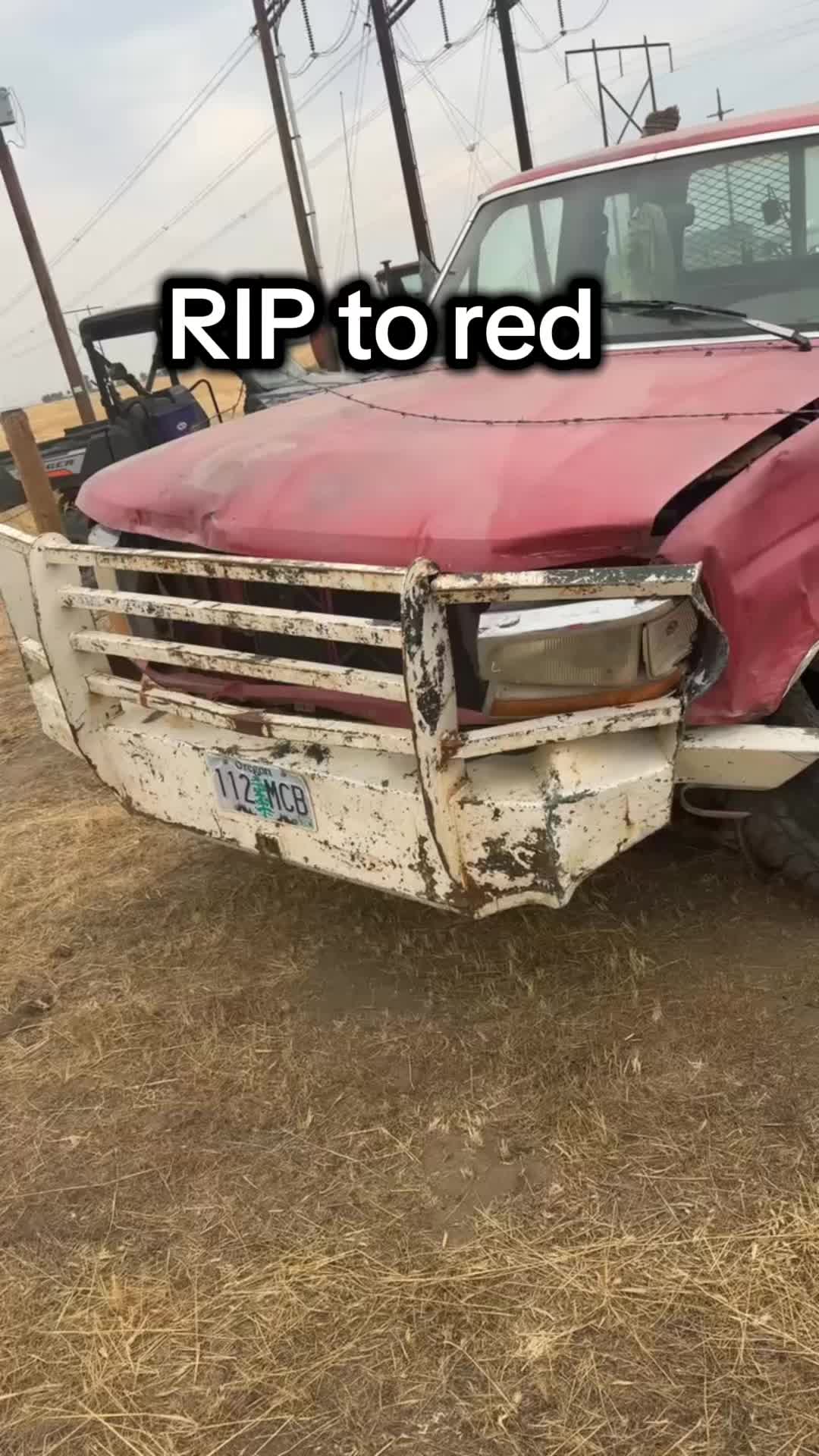 @daddytaruscio69