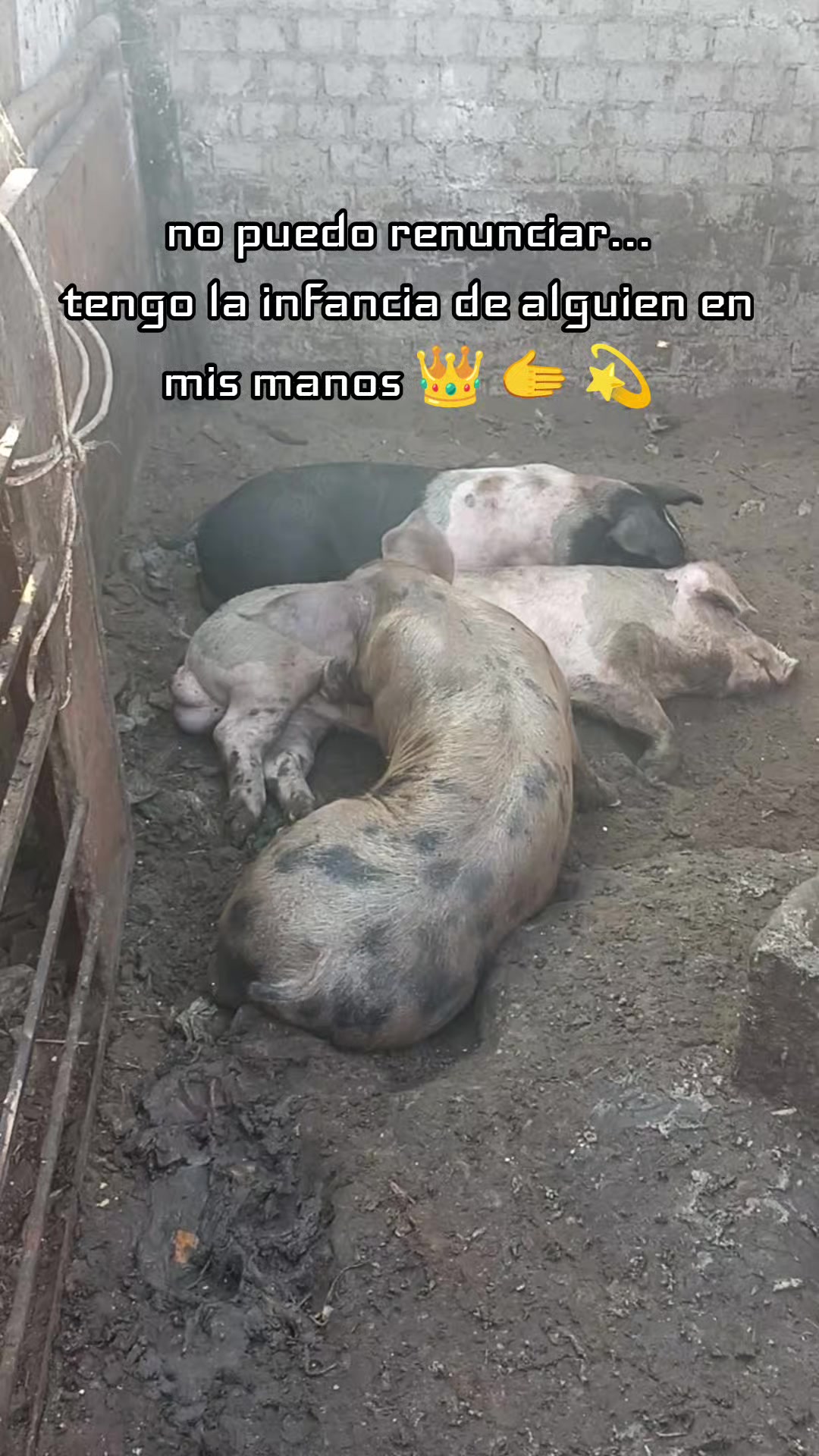 @BRAYAN .R. 🐷