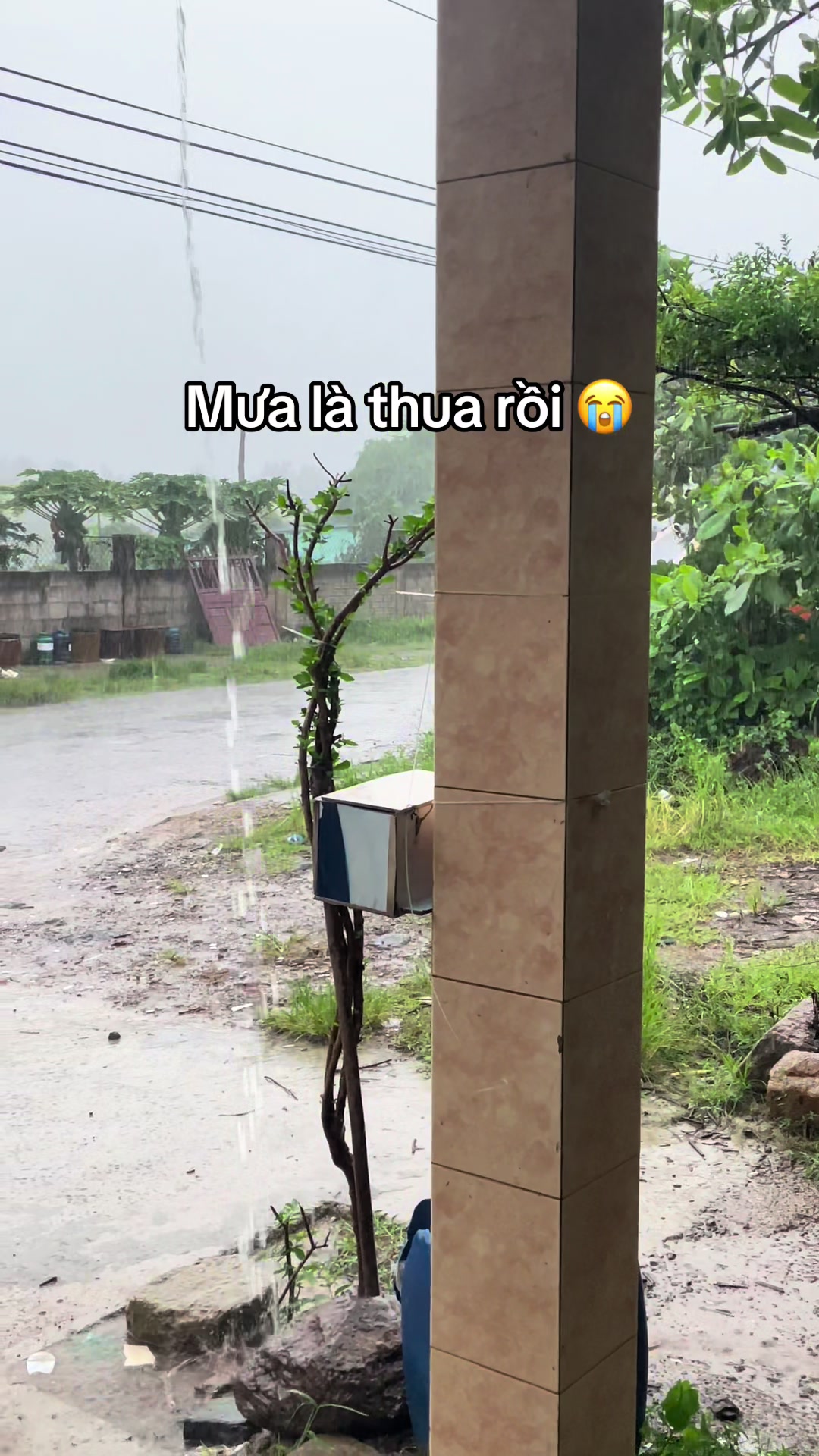 @Đức Booking Phú Quý