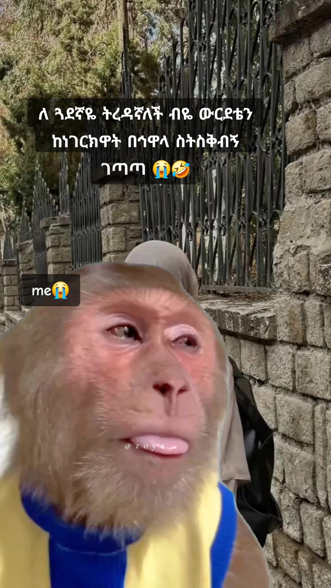 @ᴢᴏʏᴀ🪐