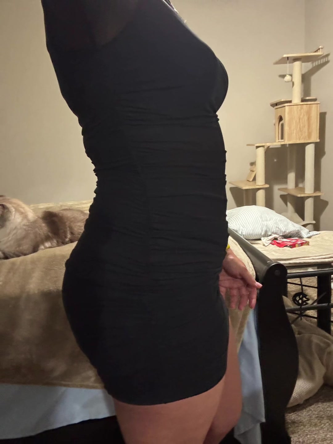 @jtarr22